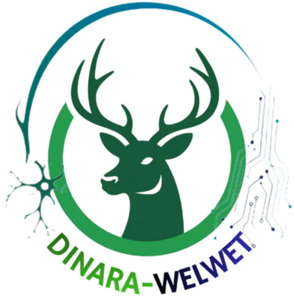 DINARA-WELWET project logo